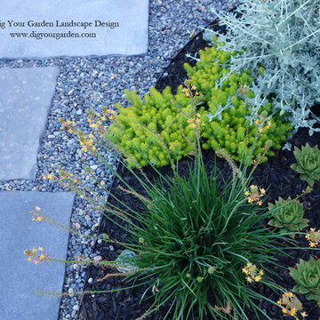 Succulents, Sculpture and Stone Replace the Lawn in San Rafael