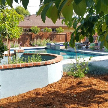 California Native Oasis