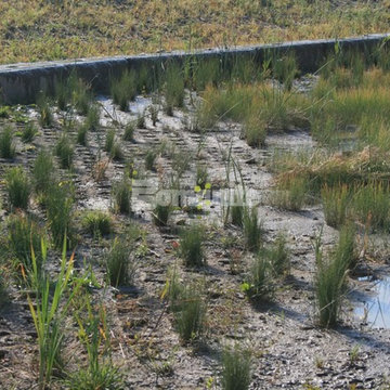 Bomanite Grasscrete Pervious Concrete System using Molded Pulp Formers