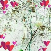 Isa Baudu's photo