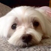 Barbara Rouchleau's photo
