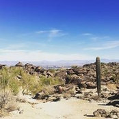 Emily Oakley's photo