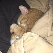 Lauren K. Terry's photo