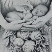 Karen Cook's photo