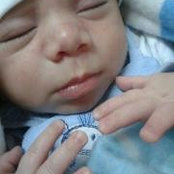 Foto von Safa Raad