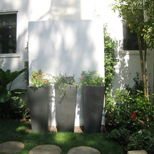 Elephant Ears Landscaping Ideas | Houzz