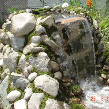 Biological Koi Ponds