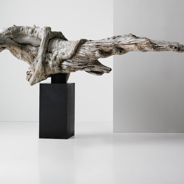 Phillips Collection | Every Piece a Conversation