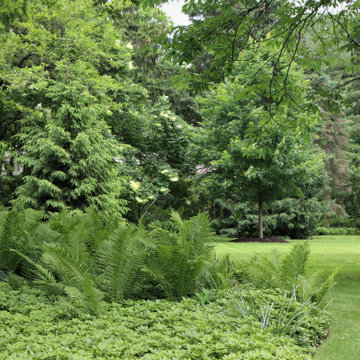 Residential Landscape Maintenance