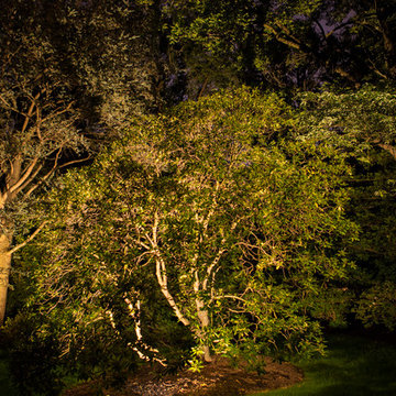 Traditional Estate - Rydal Landscape Lighting