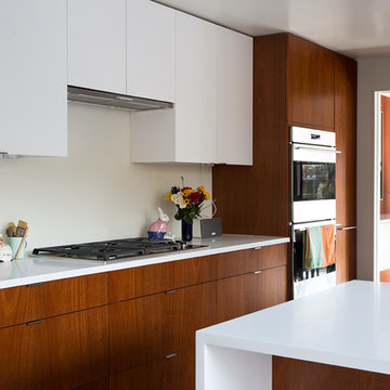 San Francisco Eichler Remodel