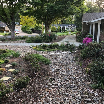 Front Yard Slow and Patient Remodel