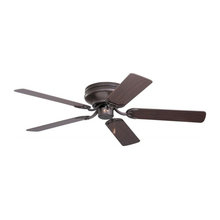 Fans And Lights