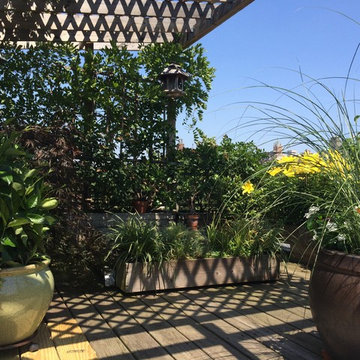 Boerum Hill - Rooftop Garden