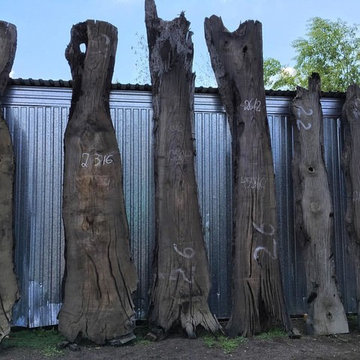 Bog Oak 600-6500 years old slabs