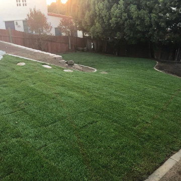 Lawn and Sod Projects