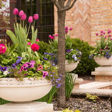 Exterior Ideas