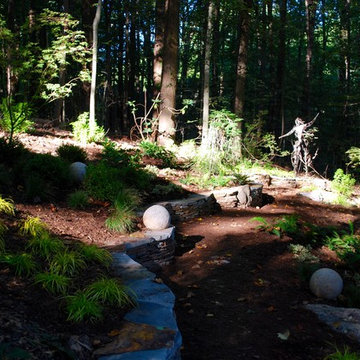A Garden That Celebrates Light