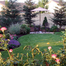 sequoia landscape