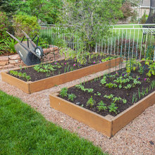 Vegetable Garden