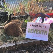 Becky Morrette's photo