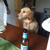 Navarone Copley's photo