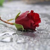 Claudia Wrede's photo