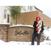 Michael Boyd's photo