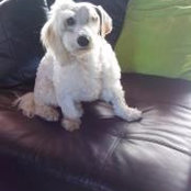 Larry Naeder's photo