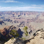 Levi Abercrombie's photo