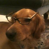 DeLynn Asberg's photo