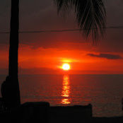 Michele Heine's photo