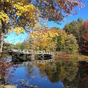 Jeannine Redd's photo