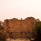 Andra Ciocoiu's photo