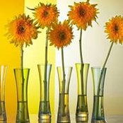 Leslie D Alston's photo