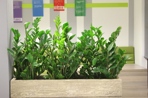 Лофт  by Earthlings Interior Plantscapers