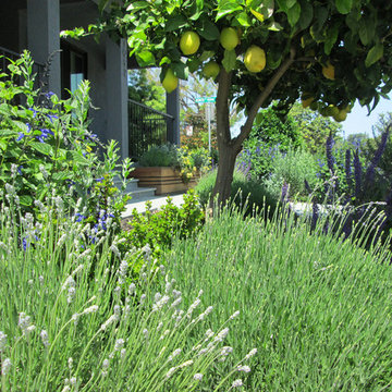 Mountain View, California - Wong Residence