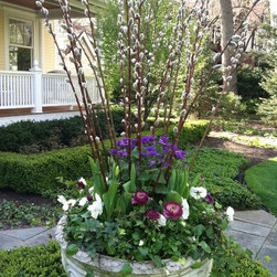 Spring Rotations - Plants