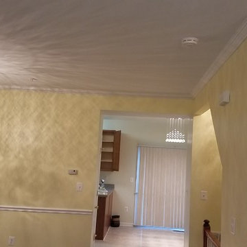Flood Renovation