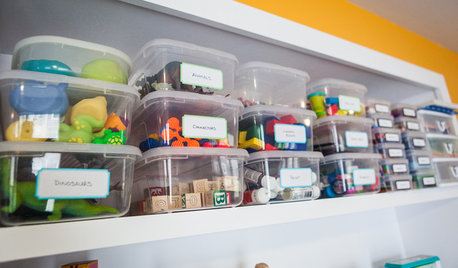 Ekspertens guide: Kom til bunds i ÅH NEJ-rodet derhjemme