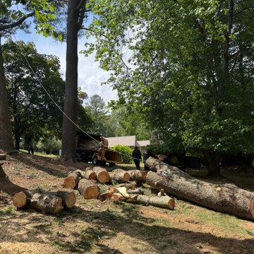 Ortega Tree Service is ready to provide dependable service with the equipment an