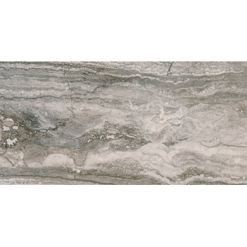 MSI NBER1224 Bernini - 12" x 24" Rectangle Floor Tile - Matte - Carbone