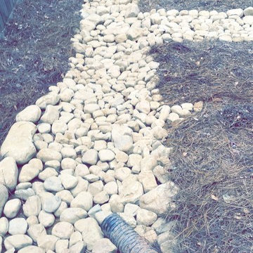 Dry Creek Beds