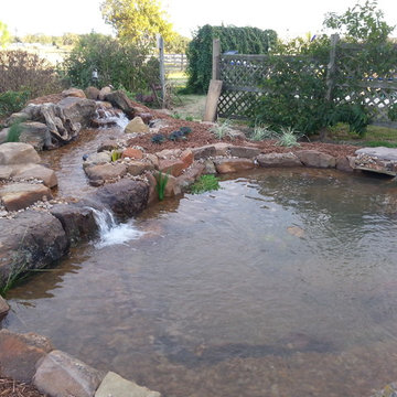 Ecosystem Ponds, Water Garden Ideas for Your Austin, Central Texas Landscape