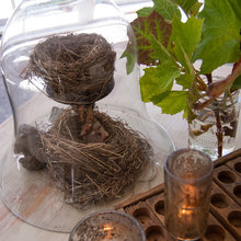 cloche ideas