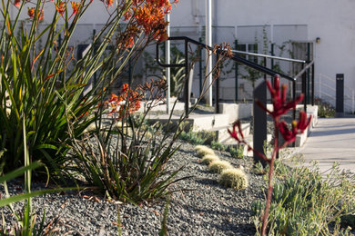 This is an example of a contemporary landscaping in San Luis Obispo.