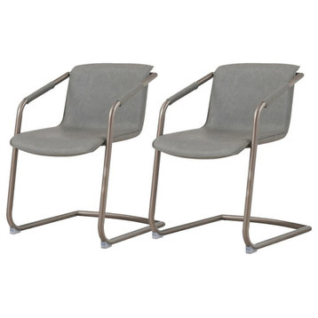 New Pacific Direct Indy 19.5" Side Chair in Antique Gray/Silver (Set of 2)