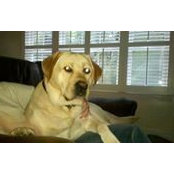 Kelly Phillips's photo