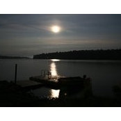 Pam Toman's photo