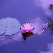 Corine Coq's photo